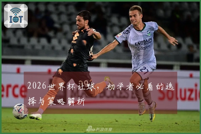 2026世界杯让球，初学者必看的选择与策略解析