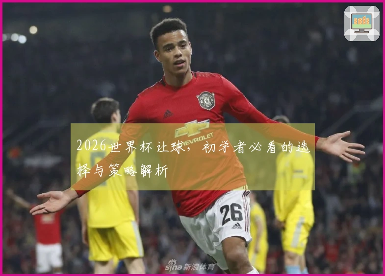 2026世界杯让球，初学者必看的选择与策略解析