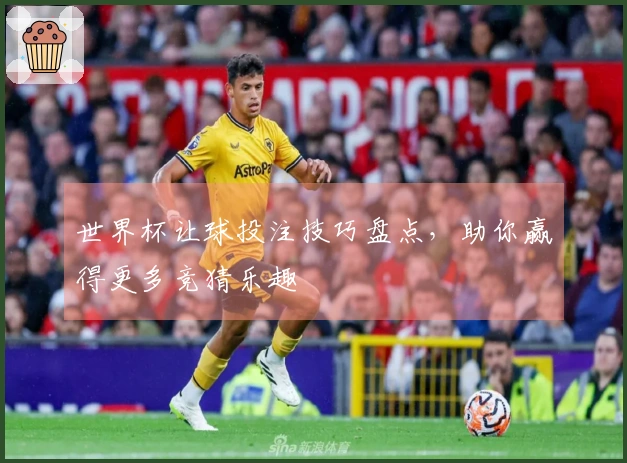 世界杯让球投注技巧盘点，助你赢得更多竞猜乐趣