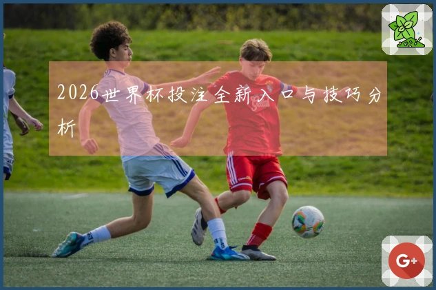 2026世界杯投注全新入口与技巧分析