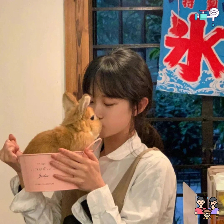用户头像